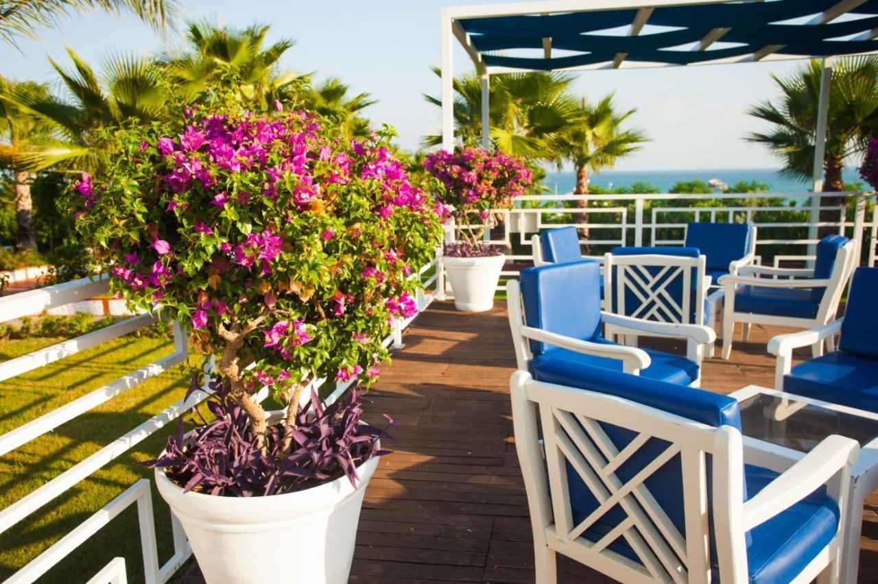 Ninfa Sul Mare Apartments 50 M E T R I Dal Mare Best Breakfast And Free Parking Capo Vaticano Buitenkant foto